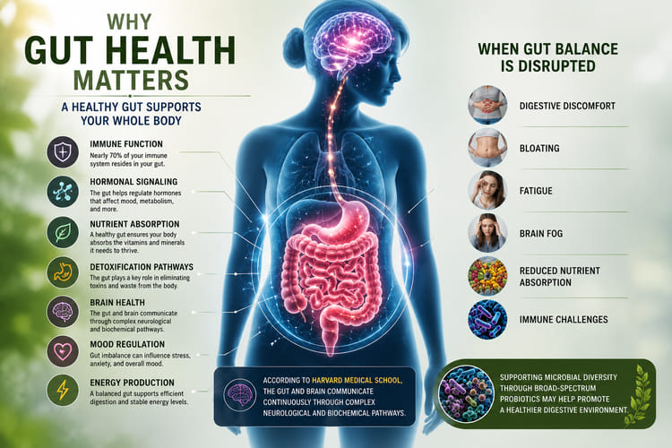 Soil-Based Probiotics Benefits are Powerful